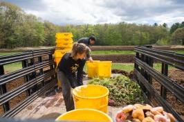 学生s working with compost in the bed of a truck